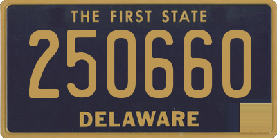 DE license plate 250660