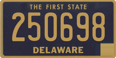 DE license plate 250698