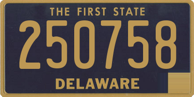 DE license plate 250758