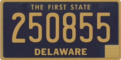 DE license plate 250855