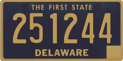 DE license plate 251244