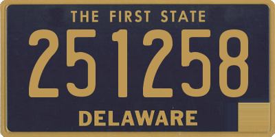 DE license plate 251258
