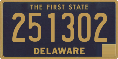 DE license plate 251302