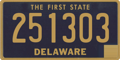 DE license plate 251303