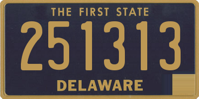 DE license plate 251313