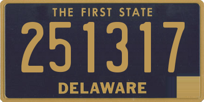DE license plate 251317