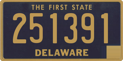 DE license plate 251391