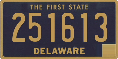 DE license plate 251613