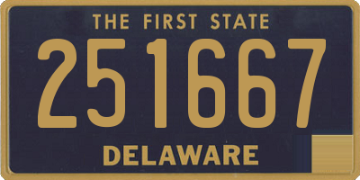 DE license plate 251667