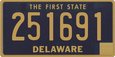 DE license plate 251691