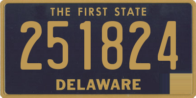 DE license plate 251824