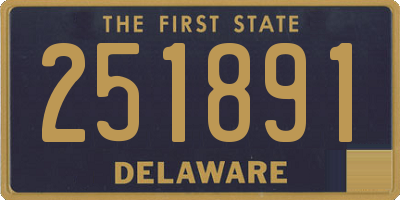 DE license plate 251891