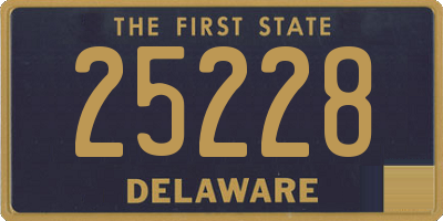 DE license plate 25228