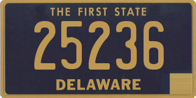 DE license plate 25236