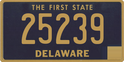 DE license plate 25239