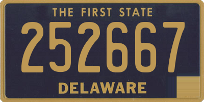 DE license plate 252667