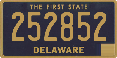 DE license plate 252852