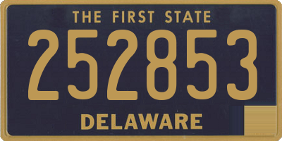DE license plate 252853