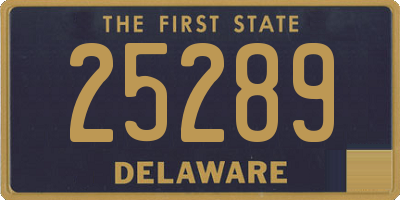 DE license plate 25289