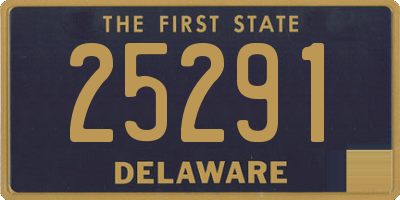 DE license plate 25291