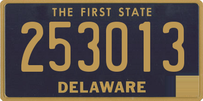 DE license plate 253013
