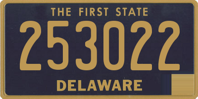 DE license plate 253022