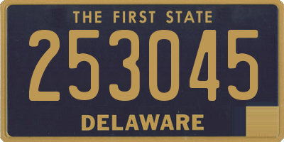 DE license plate 253045