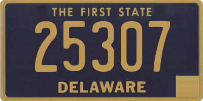 DE license plate 25307