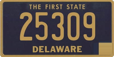 DE license plate 25309
