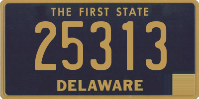 DE license plate 25313