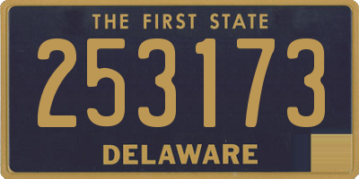 DE license plate 253173