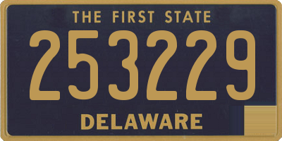 DE license plate 253229