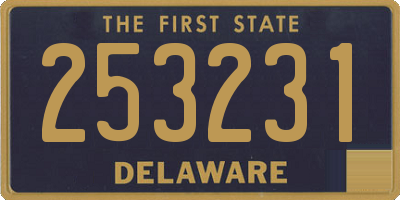 DE license plate 253231