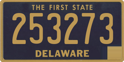 DE license plate 253273