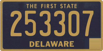 DE license plate 253307