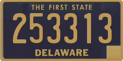DE license plate 253313