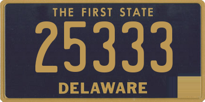 DE license plate 25333