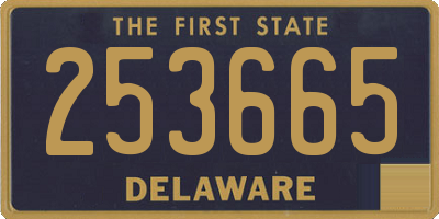DE license plate 253665