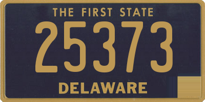 DE license plate 25373