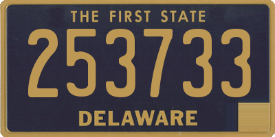 DE license plate 253733