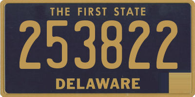 DE license plate 253822