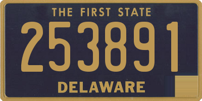 DE license plate 253891