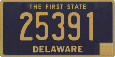 DE license plate 25391