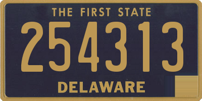 DE license plate 254313