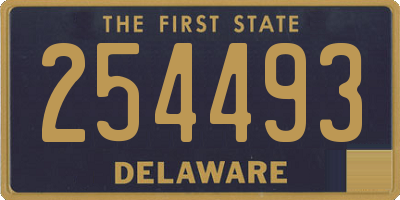 DE license plate 254493