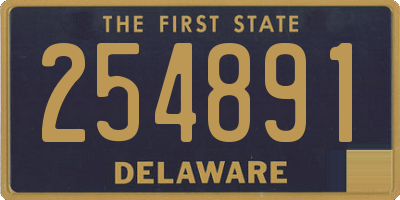 DE license plate 254891