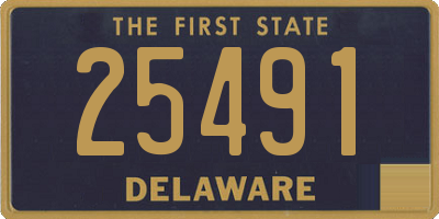 DE license plate 25491