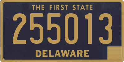 DE license plate 255013