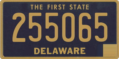 DE license plate 255065
