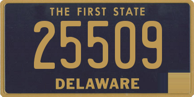 DE license plate 25509